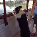 Darling River boat tours